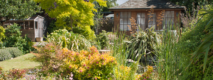 A town back garden