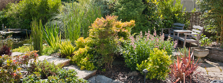 Part of a cottage garden