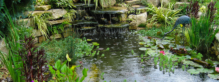 The plants are established and real, the 'Heron' is not!