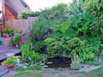 White of Witchampton - landscape gardener - Established pond with waterfall and mature planting