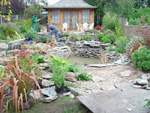White of Witchampton - landscape gardener - White of Witchampton (WoW Gardens) employees planting the edges of the garden pond.