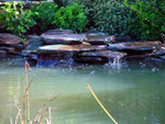 White of Witchampton - landscape gardener - The waterfall and planting.