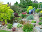 White of Witchampton - landscape gardener - |An established garden pond.  One of our ponds after three years.