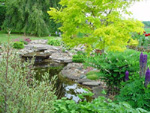 White of Witchampton - landscape gardener - Established planting around a White of Witchampton (WoW Gardens) pond.
