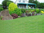 White of Witchampton - landscape gardener - Steps and a sleeper wall.